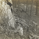 Imagen para el artículo titulado Por qué había mujeres fingiendo ser rocas y árboles en los parques de Nueva York durante la WW1